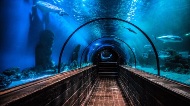 Океанаріум Морська к